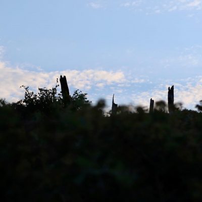 224084007 1082296812300680 7784816644054245455 N 18172900672183462