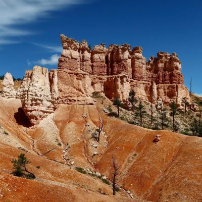 231911366 367108824960947 6163333002559565832 N 18161957581091070