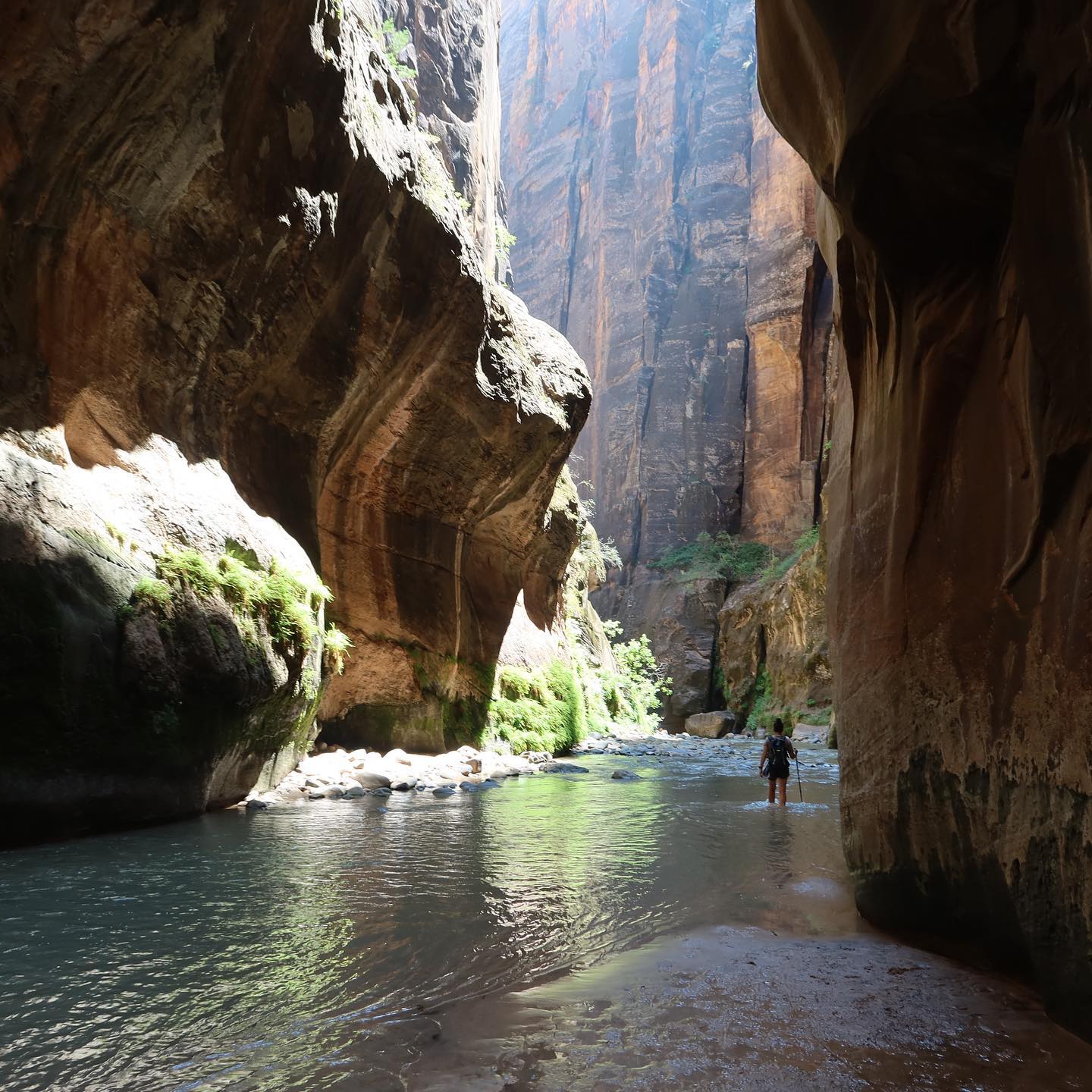 233157664 834758917225349 8603663514692751719 N 17859311795599895