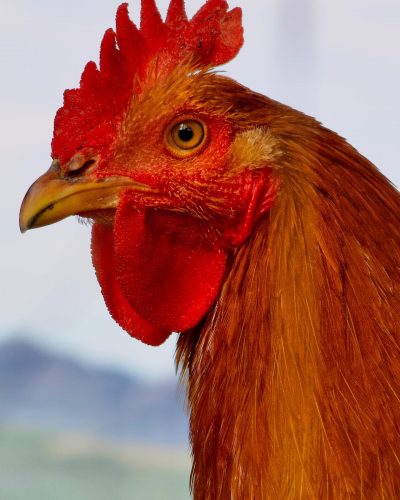 305315325 1502505210220989 9060995439308272074 N 17973402127691716